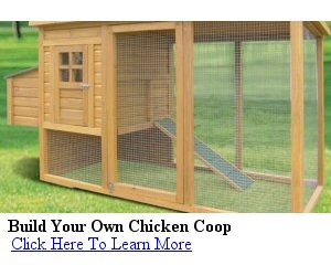 Free Portable Chicken Coop Plans – Build Your Own Chicken Coop ...