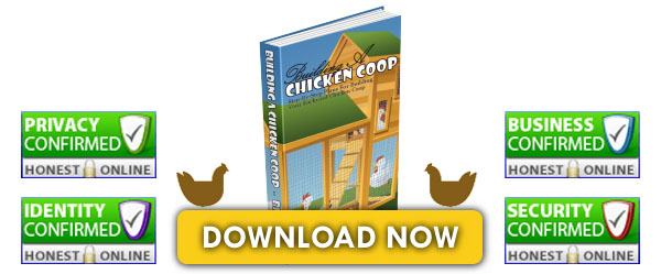 How To Build A Chicken Coop