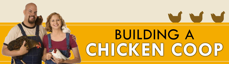 Easy to Build Chicken Coops
