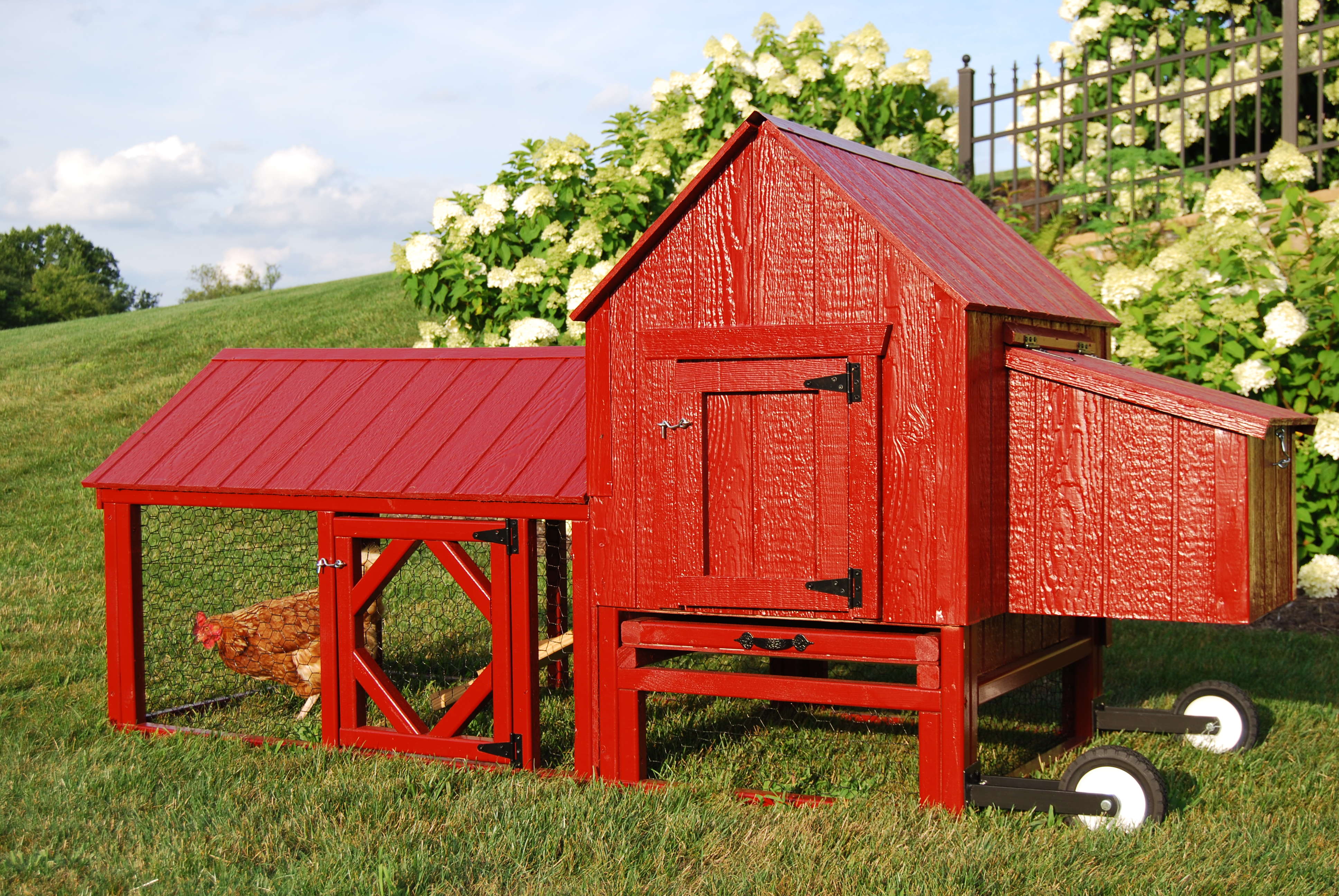 chicken coop