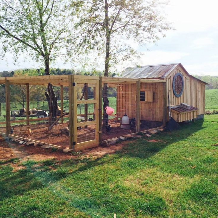Building A Chicken Coop - Building your own chicken coop ...