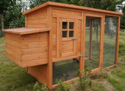 chicken coop