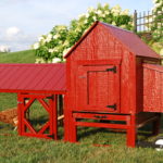 best chicken coops you can build