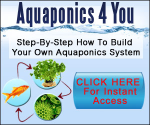 Aquaponics