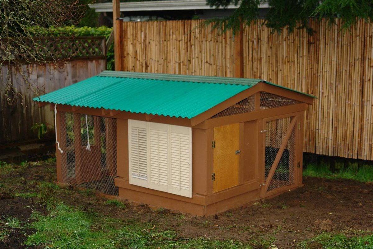 building a chicken coop isn't rocket science