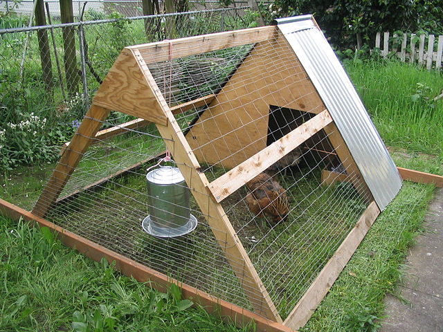 portable chicken coop plans