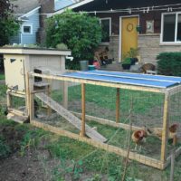 how to build a chicken house